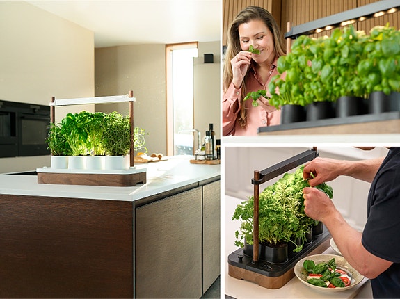 Auk Mini, vår 2. generasjons Auk