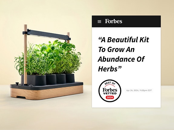 Bilde 7 av 10 i jobbannonse-galleriet