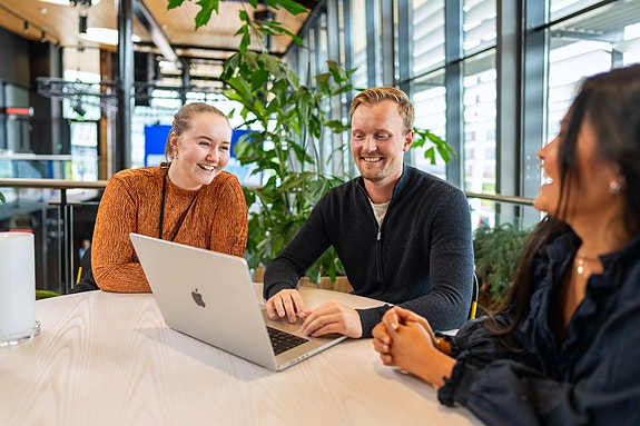 Bilde 1 av 1 i jobbannonse-galleriet