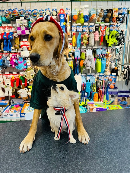 Bilde 1 av 3 i jobbannonse-galleriet