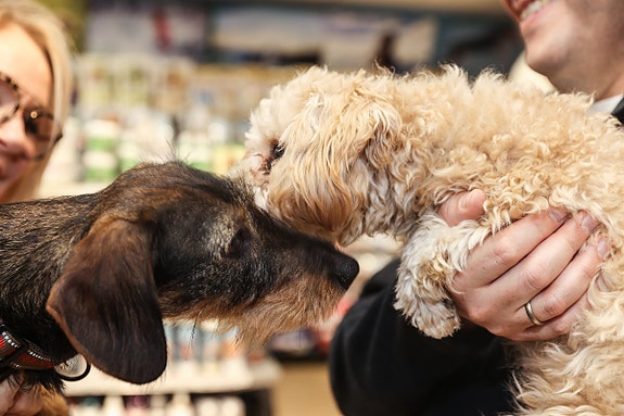 Bilde 2 av 3 i jobbannonse-galleriet