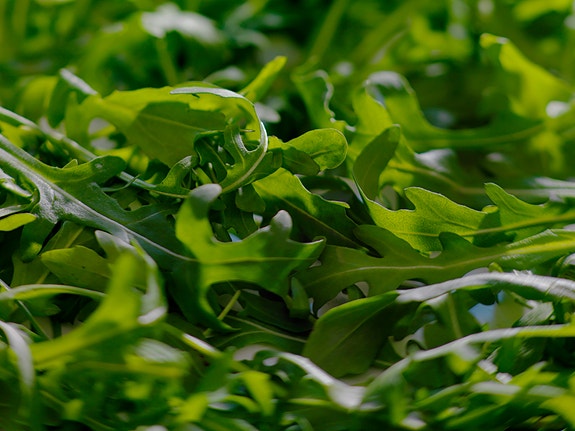 Bilde 2 av 3 i jobbannonse-galleriet