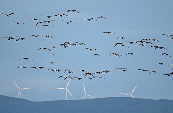 Bilde 2 av 3 i jobbannonse-galleriet