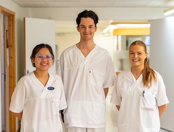 Bilde 1 av 3 i jobbannonse-galleriet