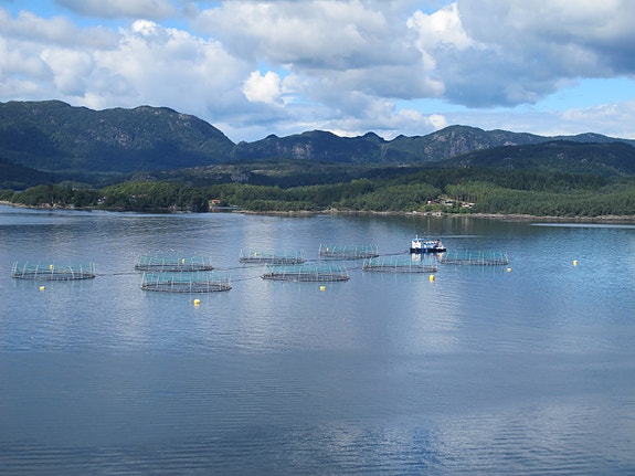 Bilde 3 av 7 i jobbannonse-galleriet