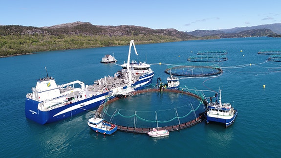 Bilde 4 av 7 i jobbannonse-galleriet