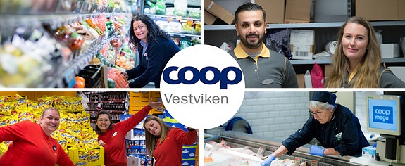 Bilde 1 av 1 i jobbannonse-galleriet