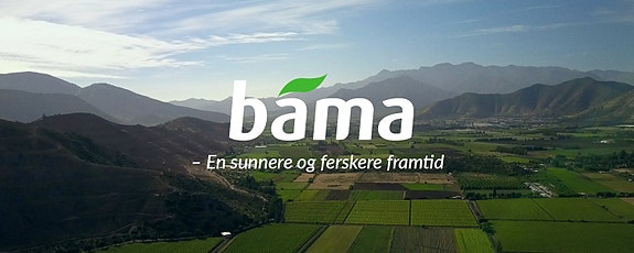 BAMA Gruppen AS logo