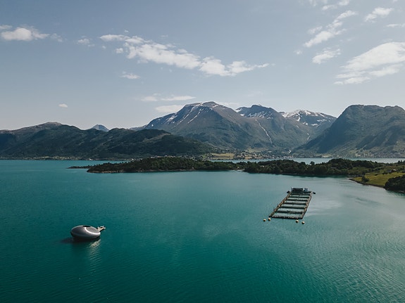 Bilde 1 av 1 i jobbannonse-galleriet