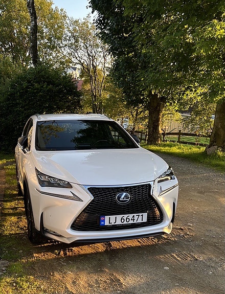Lexus NX300h 4 of 5