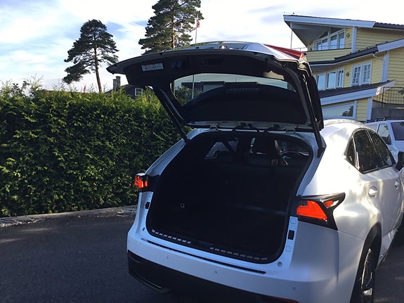 Lexus NX300h 24 of 30