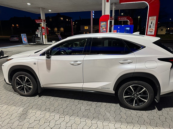 Lexus NX300h 21 of 30