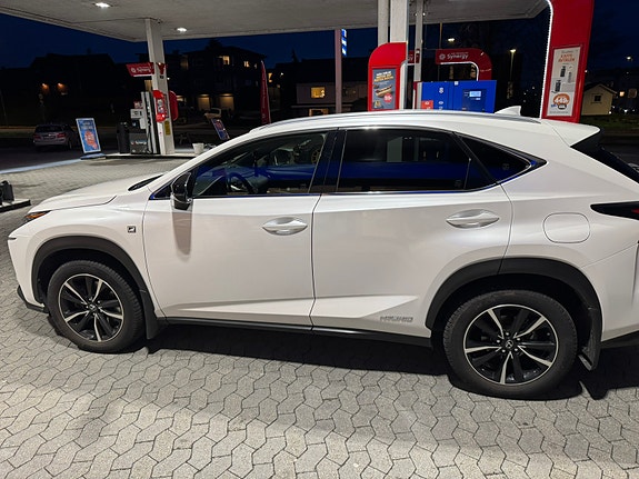 Lexus NX300h 19 of 30