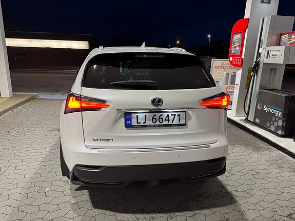 Lexus NX300h 18 of 30