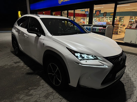 Lexus NX300h 14 of 30
