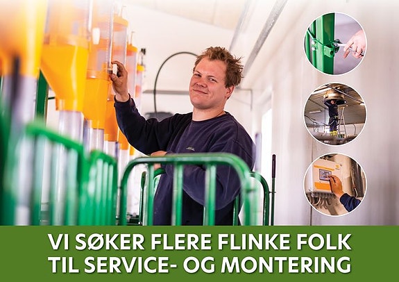 Bilde 1 av 1 i jobbannonse-galleriet