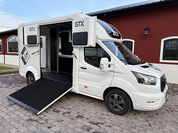 Ford Transit STX Stallion