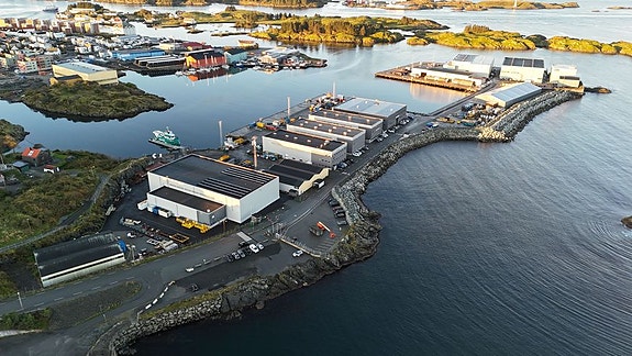 Bilde 2 av 3 i jobbannonse-galleriet