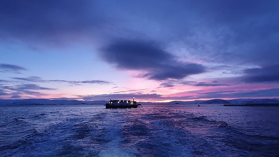 Bilde 1 av 1 i jobbannonse-galleriet