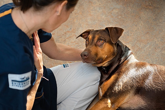 Bilde 1 av 1 i jobbannonse-galleriet