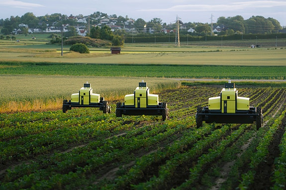 Bilde 3 av 4 i jobbannonse-galleriet