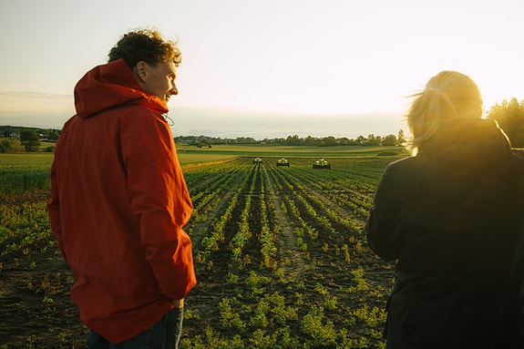Bilde 1 av 4 i jobbannonse-galleriet