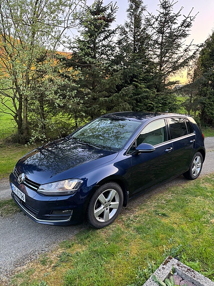 Volkswagen Golf VII 19 of 20