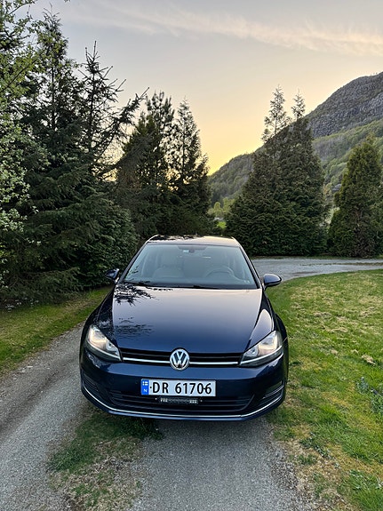 Volkswagen Golf VII 20 of 20