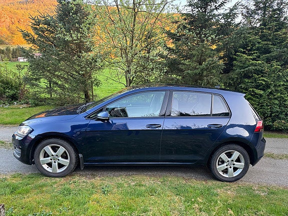 Volkswagen Golf VII 17 of 20