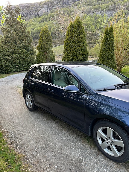 Volkswagen Golf VII 3 of 20