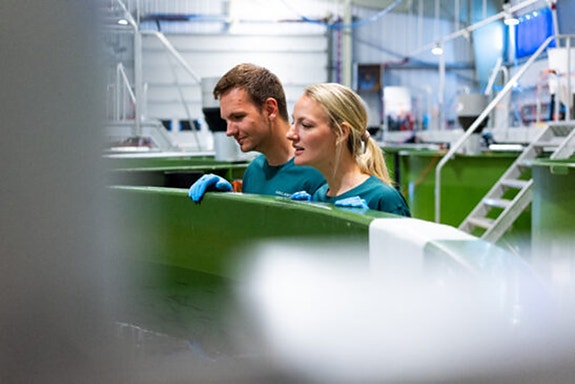 Bilde 3 av 3 i jobbannonse-galleriet