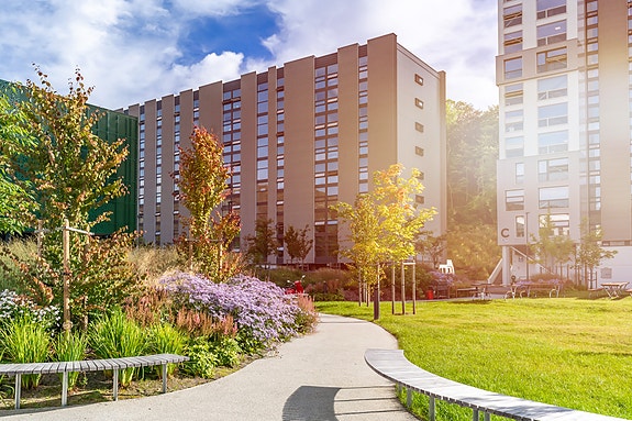 Bilde 3 av 3 i jobbannonse-galleriet