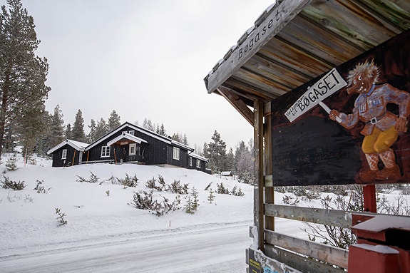 Bøgaset, Nesfjellet
