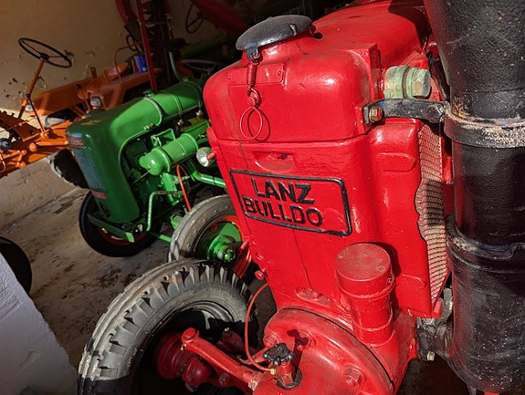 Andre Lanz bulldog 19 of 30