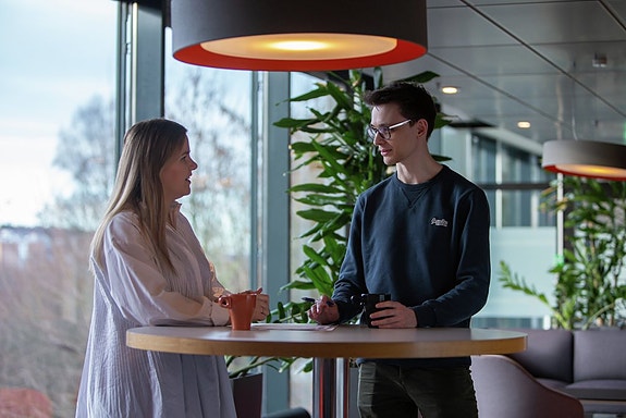 Bilde 2 av 4 i jobbannonse-galleriet