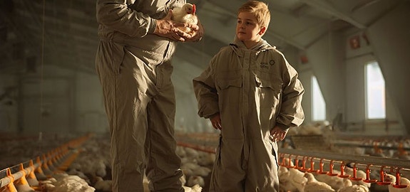 Bilde 2 av 3 i jobbannonse-galleriet