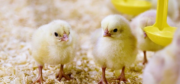 Bilde 3 av 3 i jobbannonse-galleriet