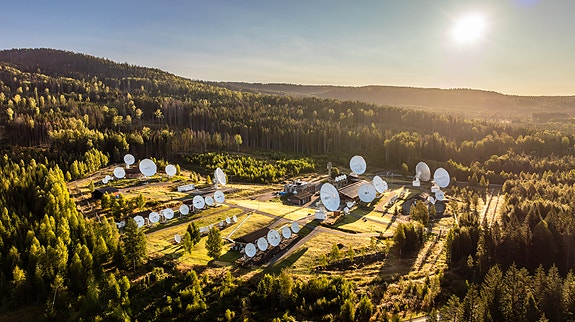 Bilde 1 av 4 i jobbannonse-galleriet