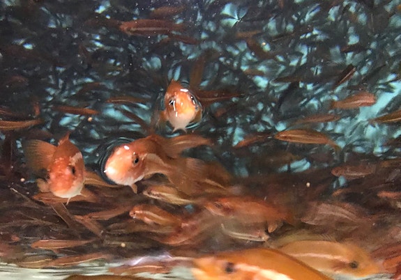 Bilde 4 av 6 i jobbannonse-galleriet