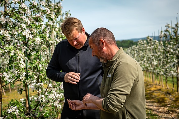 Bilde 3 av 5 i jobbannonse-galleriet