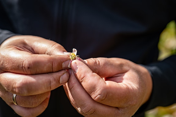 Bilde 2 av 5 i jobbannonse-galleriet