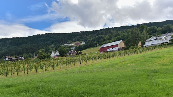 Bilde 4 av 5 i jobbannonse-galleriet