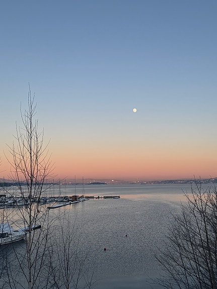 Like vakkert sommer som vinter