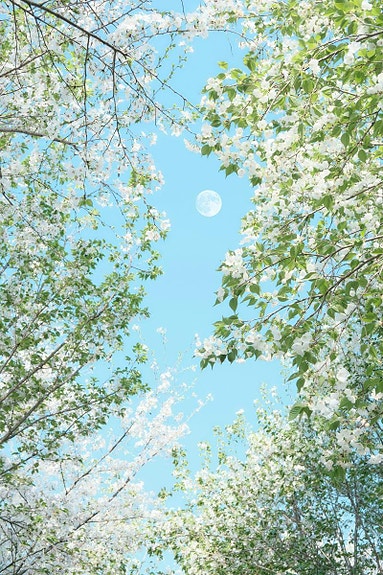 Bilde 2 av 2 i jobbannonse-galleriet