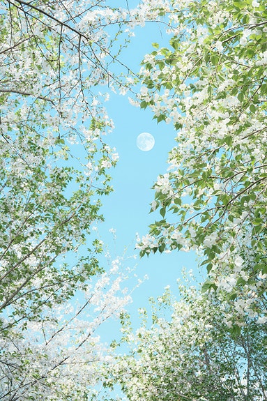 Bilde 1 av 2 i jobbannonse-galleriet