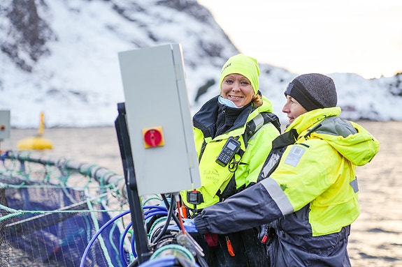 Bilde 3 av 4 i jobbannonse-galleriet