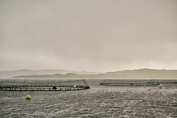 Bilde 4 av 7 i jobbannonse-galleriet