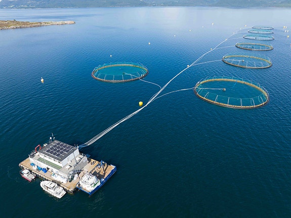 Bilde 7 av 7 i jobbannonse-galleriet