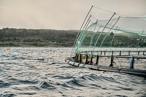 Bilde 1 av 7 i jobbannonse-galleriet