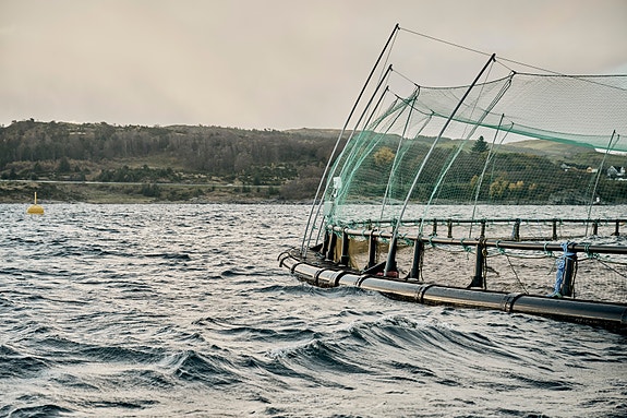 Bilde 1 av 7 i jobbannonse-galleriet